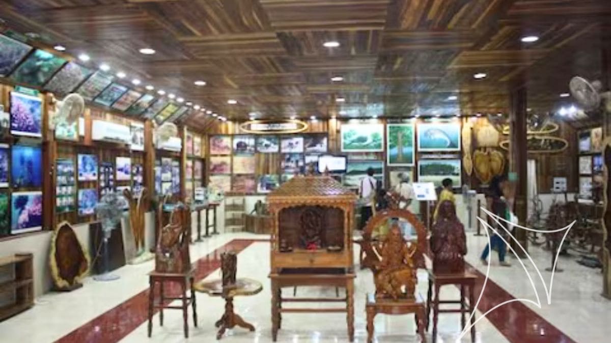forest-museum-andaman