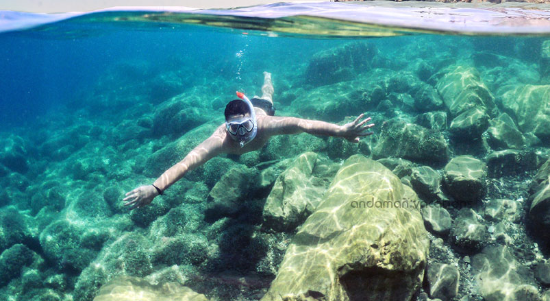 Best Time For Snorkeling Andaman