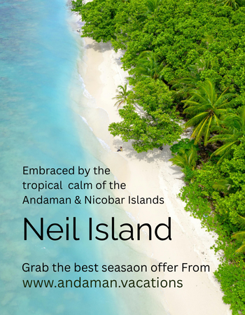 neil-island
