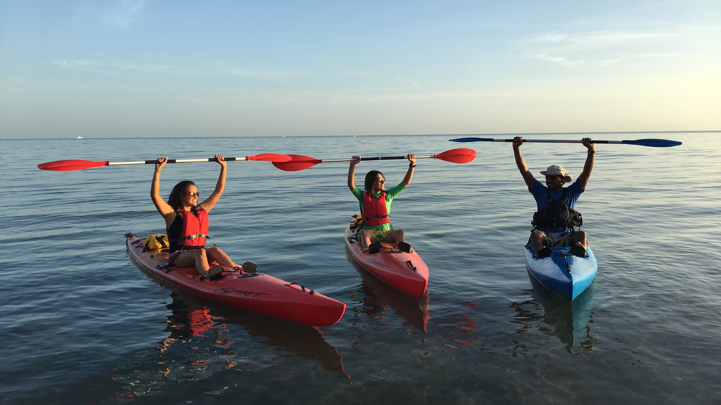 Havelock Island