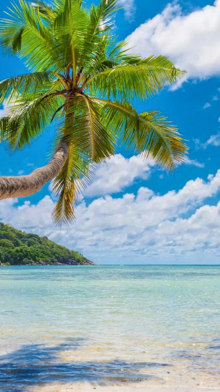 Havelock-Island