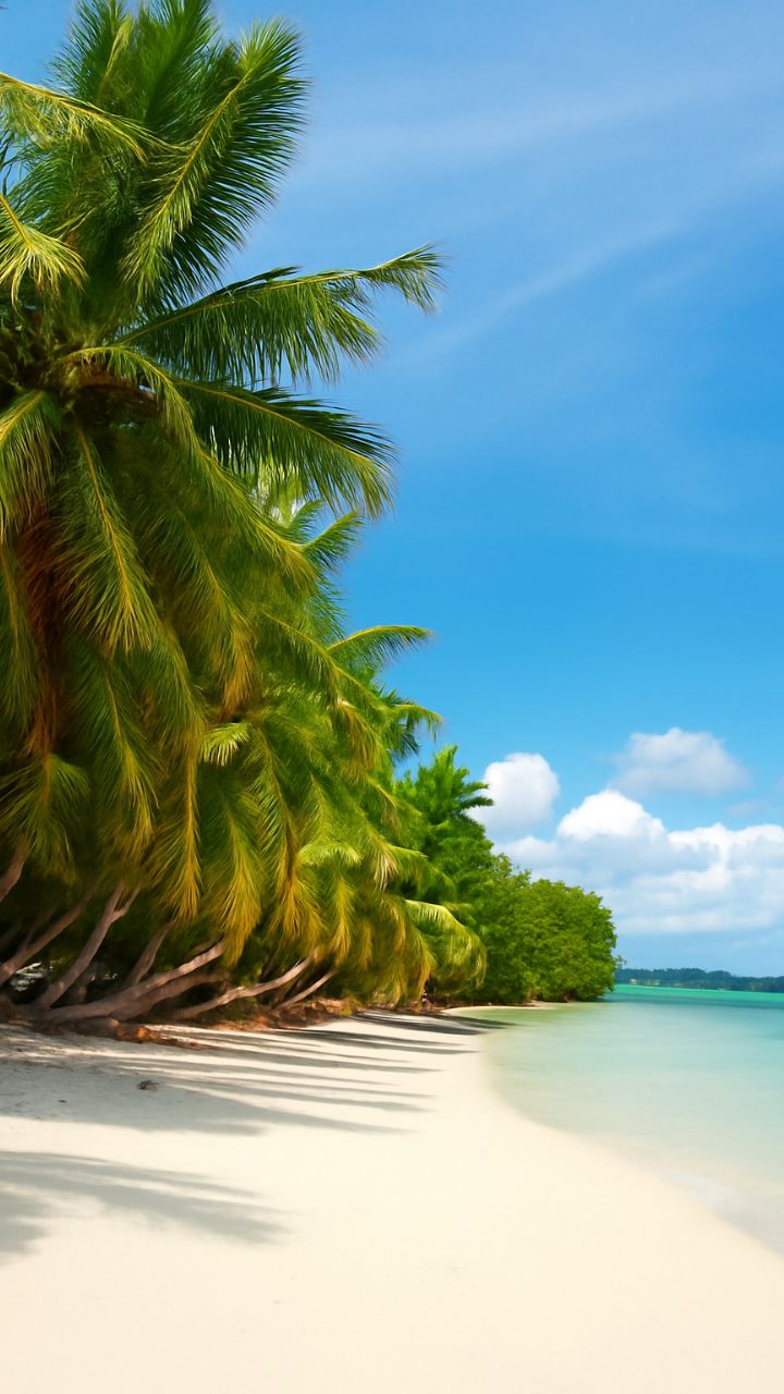 Top 5 Beaches-Andaman